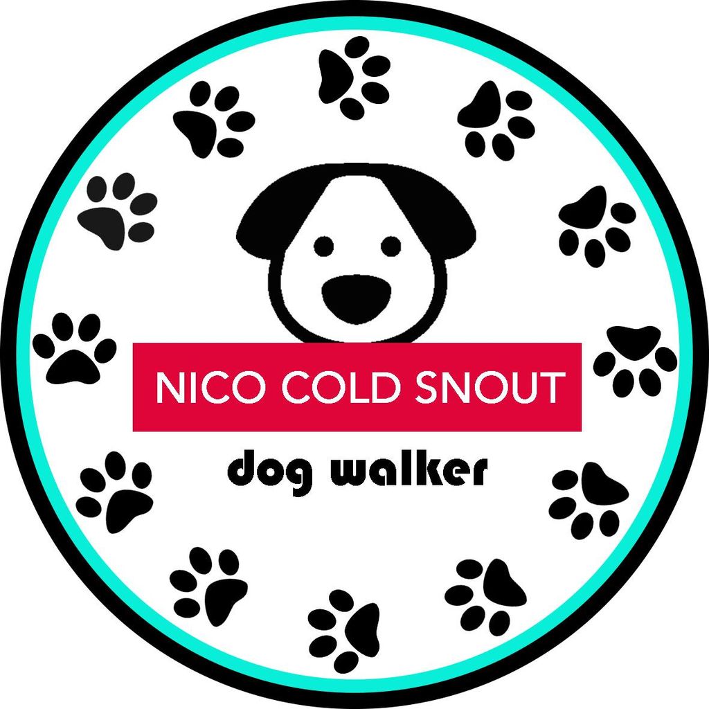 Nico Cold Snout - Dog Walker - Pet Sitter