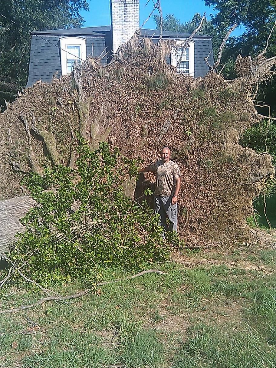 Stump removal