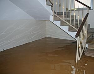 Emergency flood services