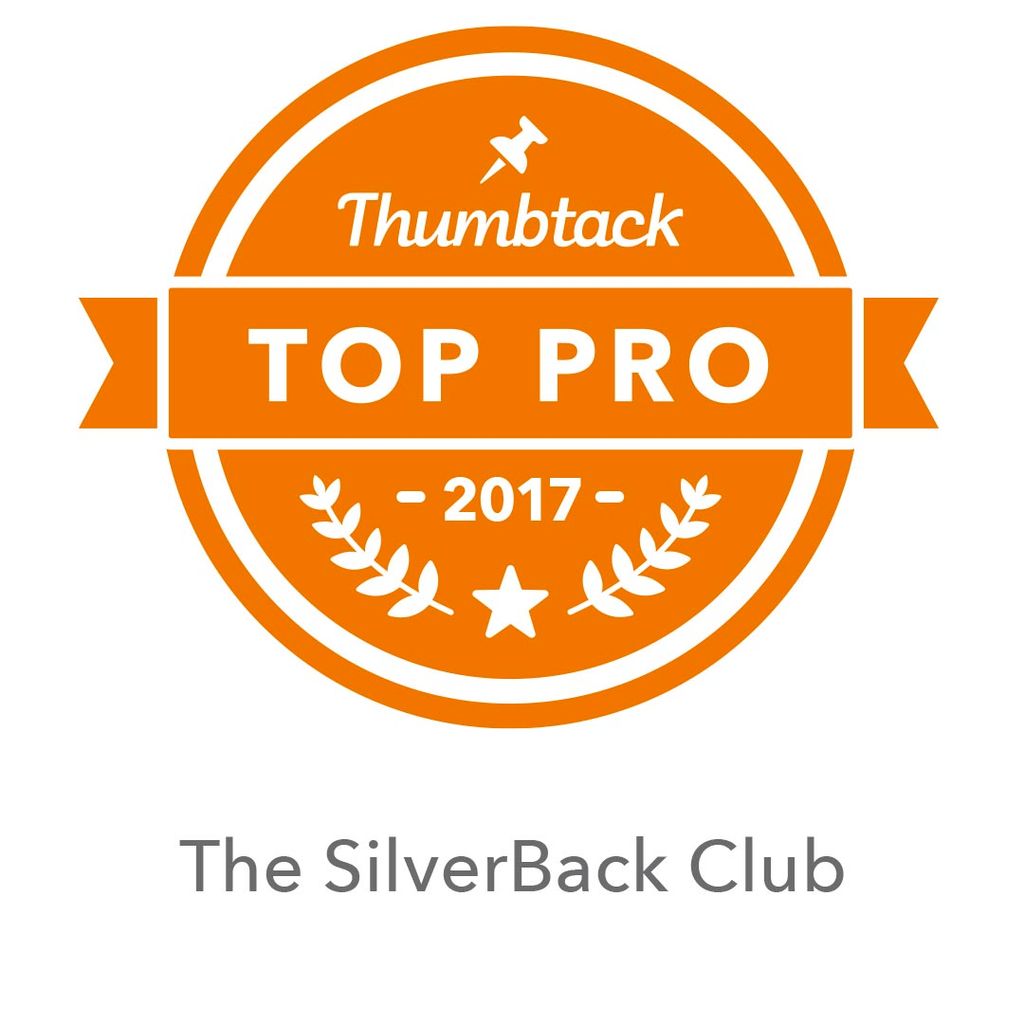 Top Pro Since 2015