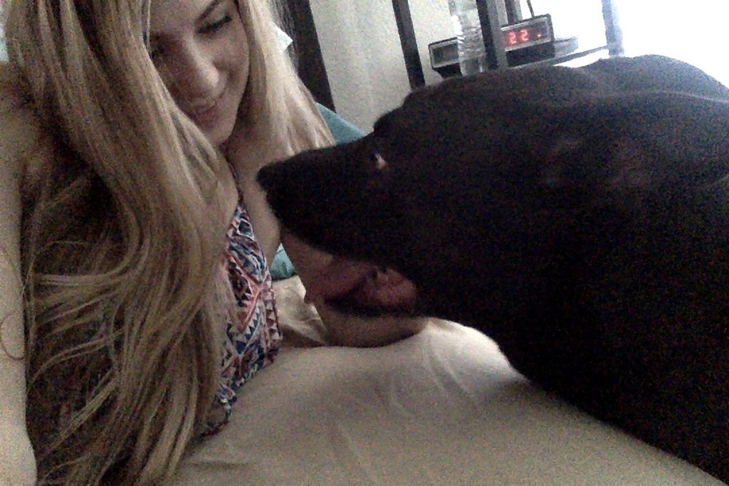 Overnight pet sitting