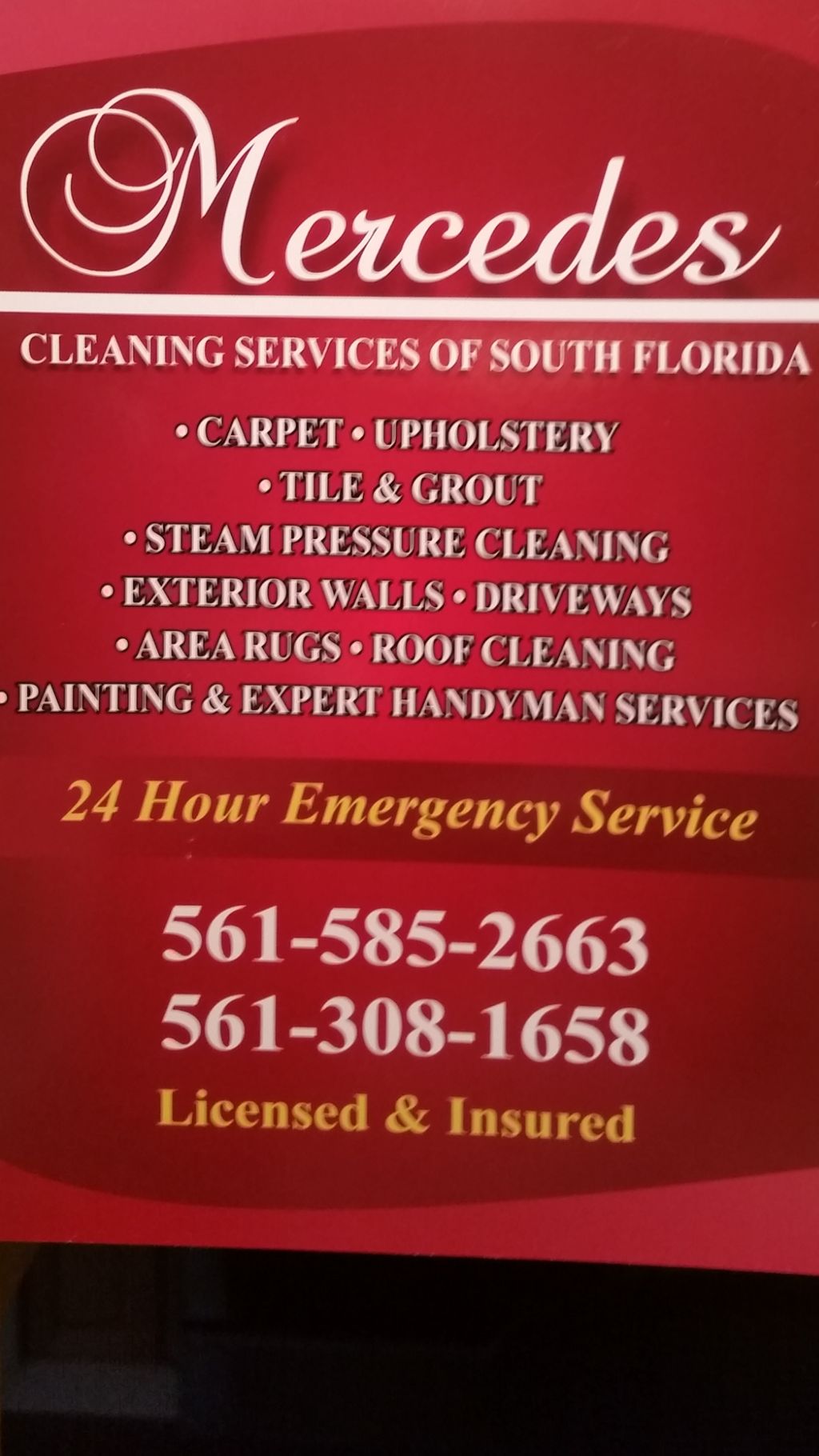 Mercedes Professional Services