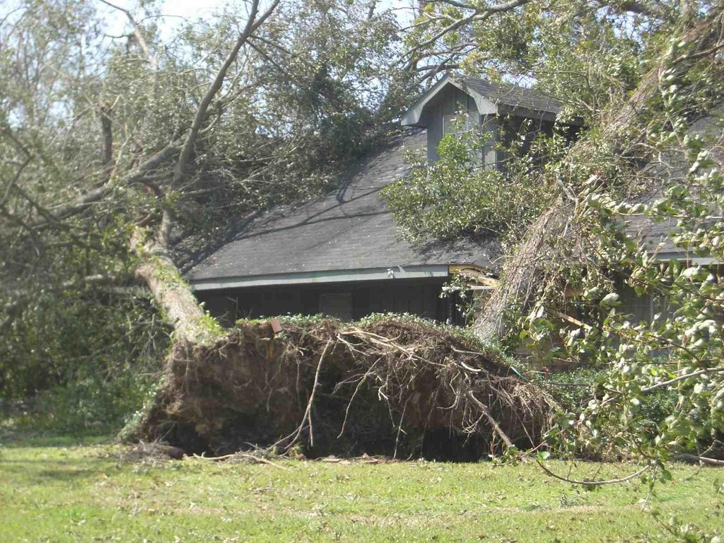 We don't chase storms, but we take care of our cli