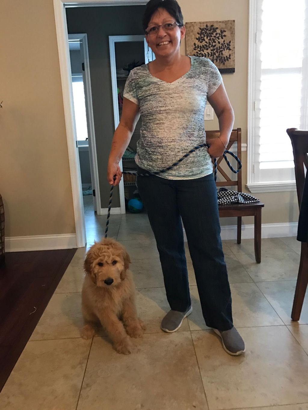 Charlie is a 12 week old Golden Doodle is demonstr