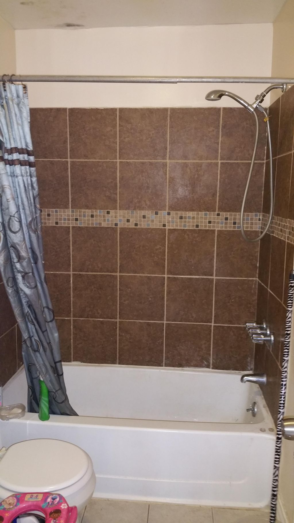 Mold Remediation Work