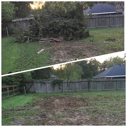 Cut and Hauled 3 trees with debris