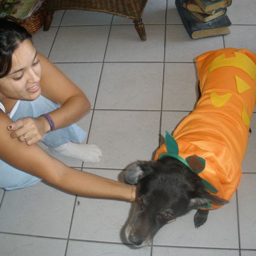 my wife and Lab for Halloween =]