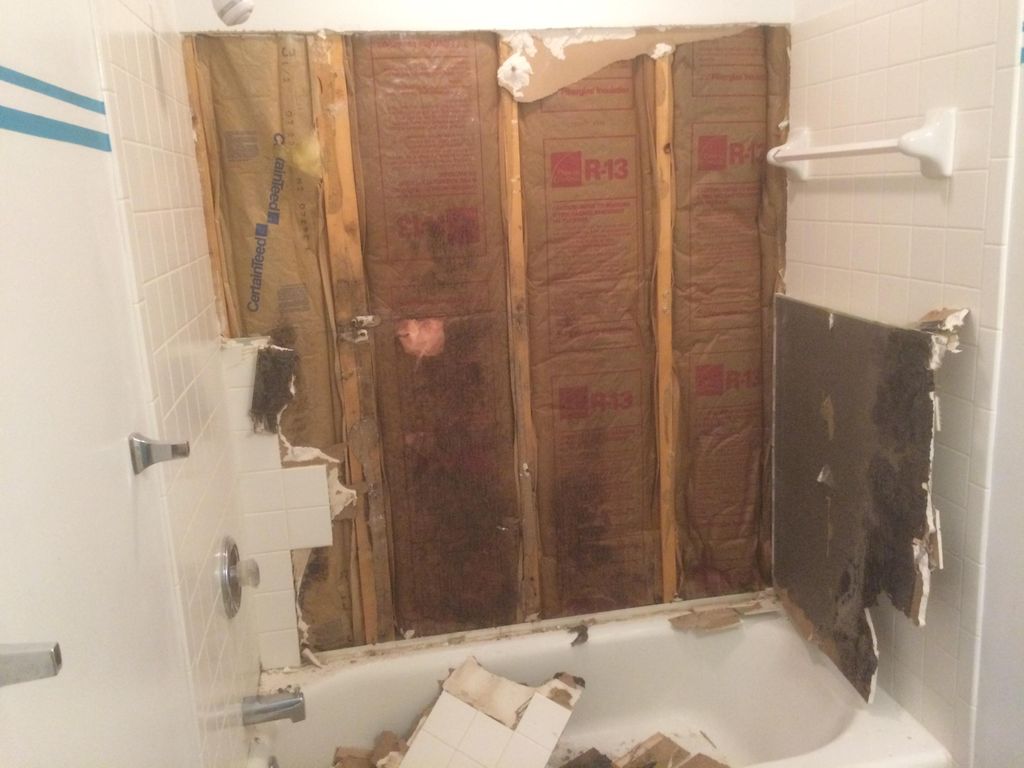 The black stains are mold growth, a result of poor