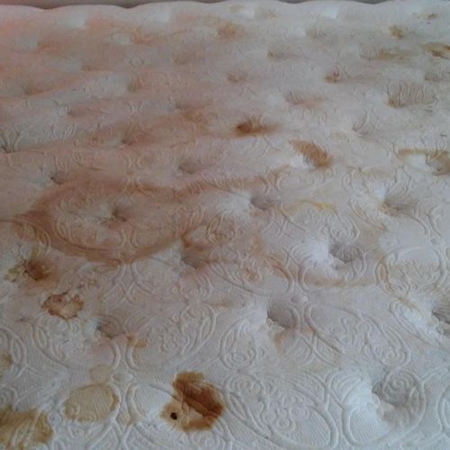 Mattress Before  Cleaning