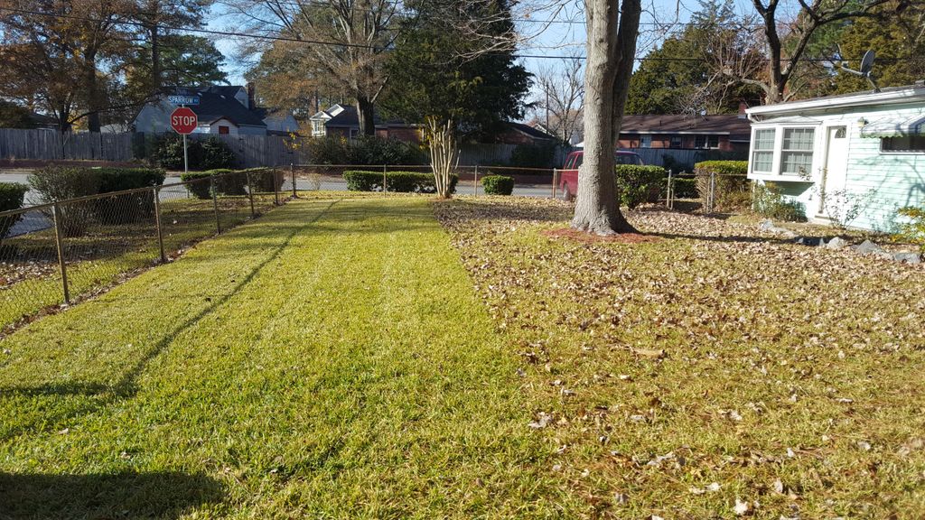 Leaf Removal (in process)