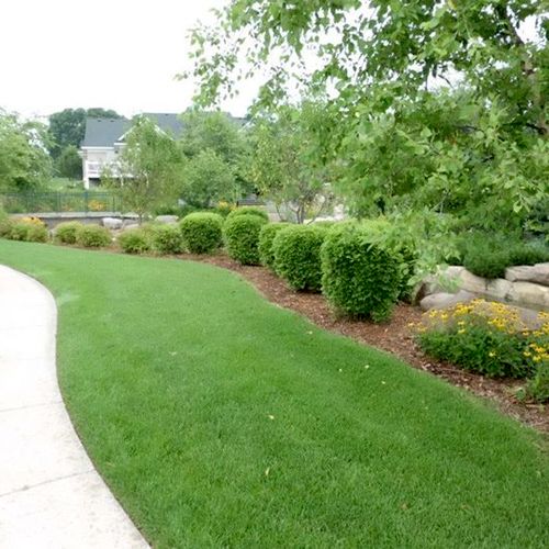 Residential Lawn Care MN