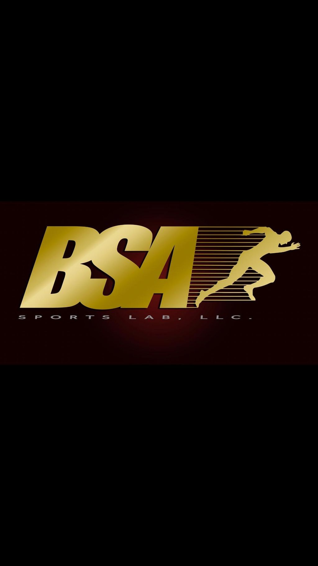 BSA Sports Lab LLC