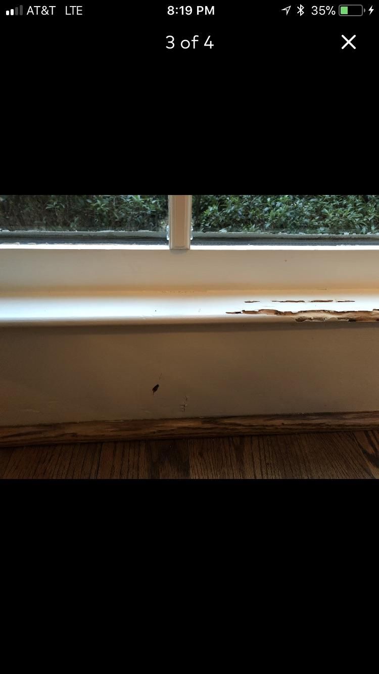 Termite Wood