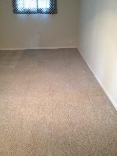 Before Carpet Cleaning