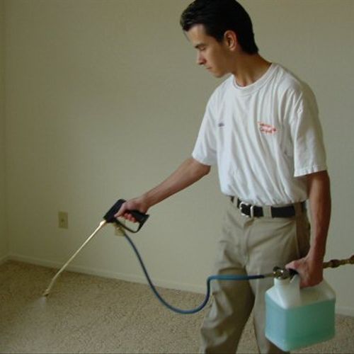 Prespraying with an approved carpet detergent for 