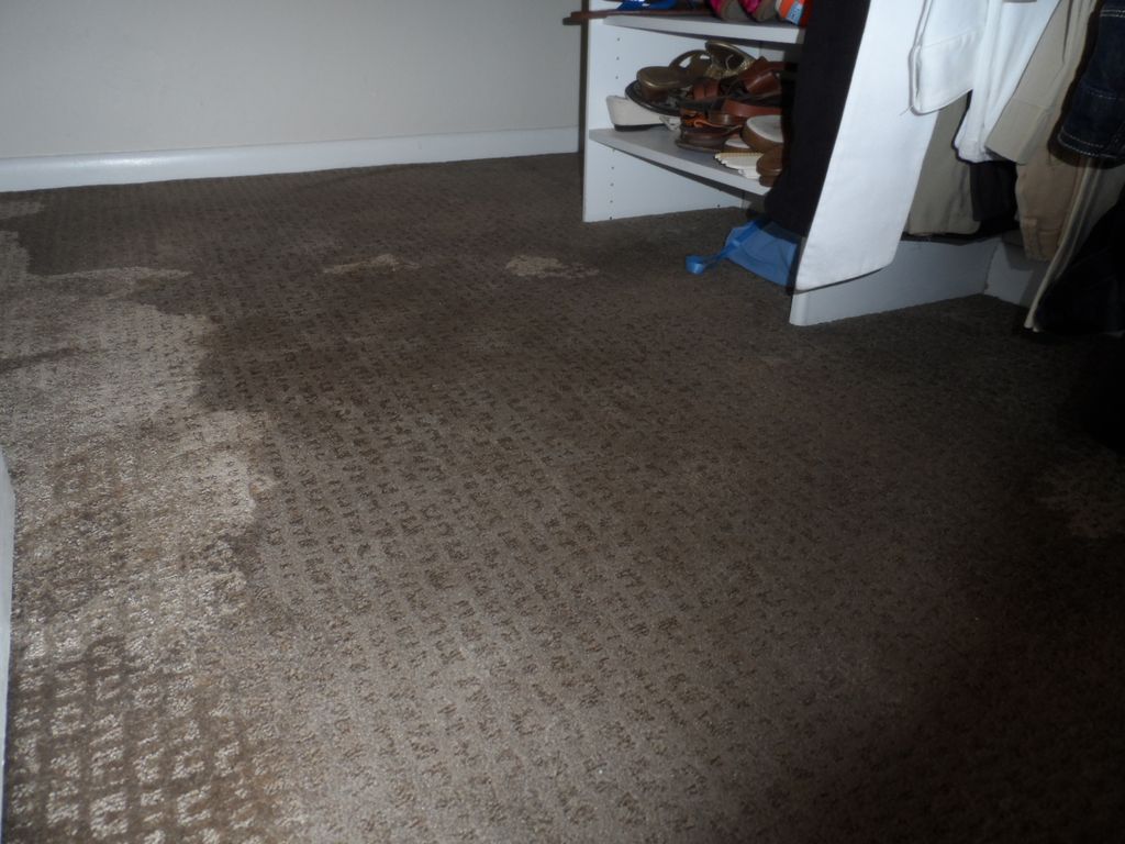 Wet Carpets? Call EMS for all your extractions.