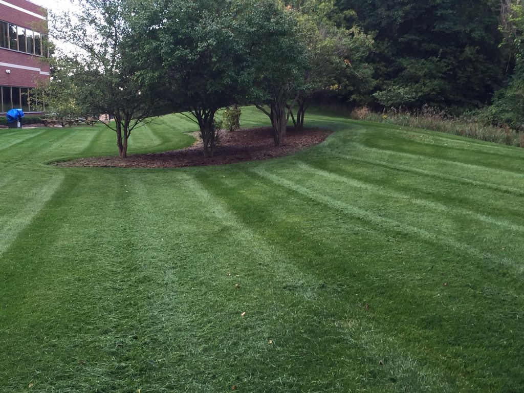 Some of the mowing from our team members!
