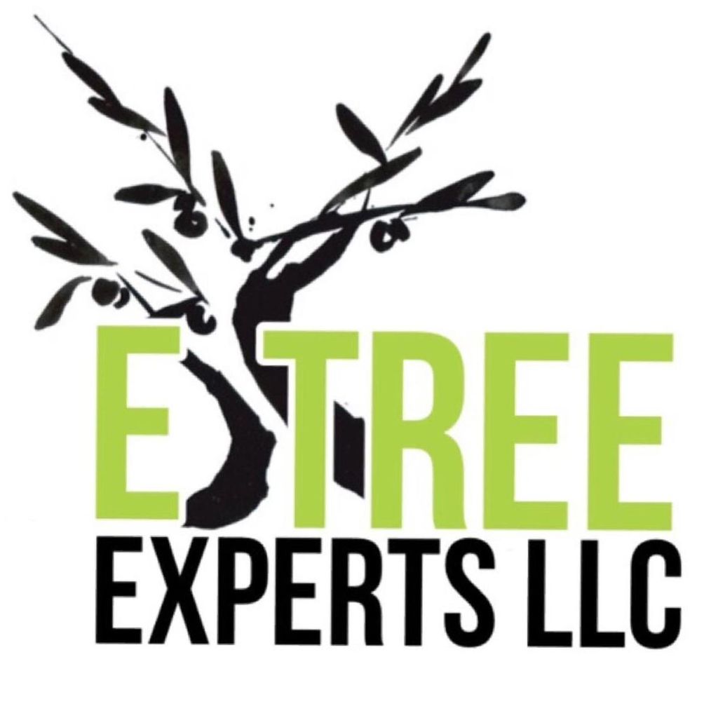 Etree Experts LLC