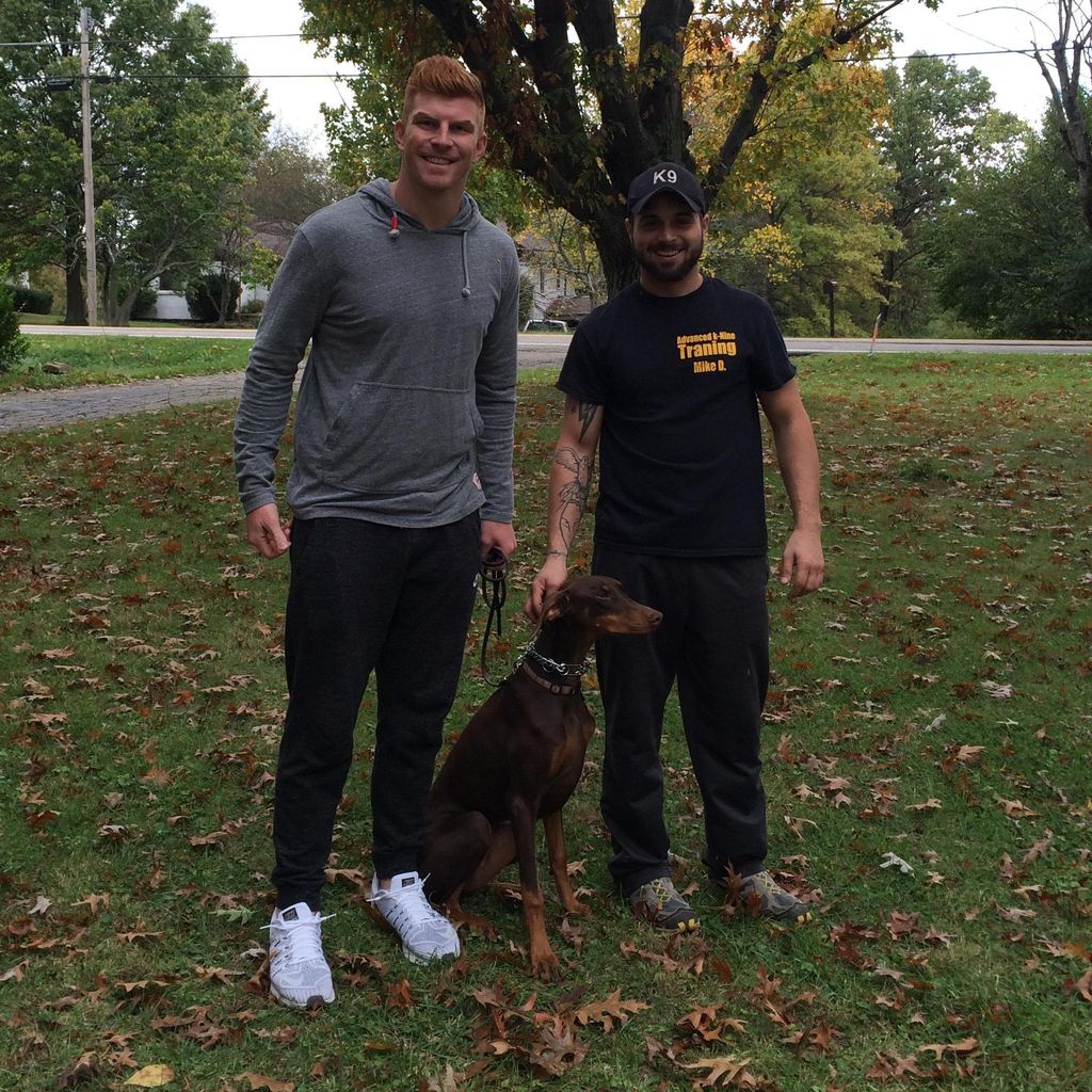 Advanced K-Nine Training