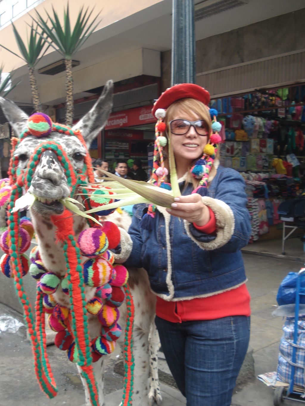 Learning from the Peruvian Culture