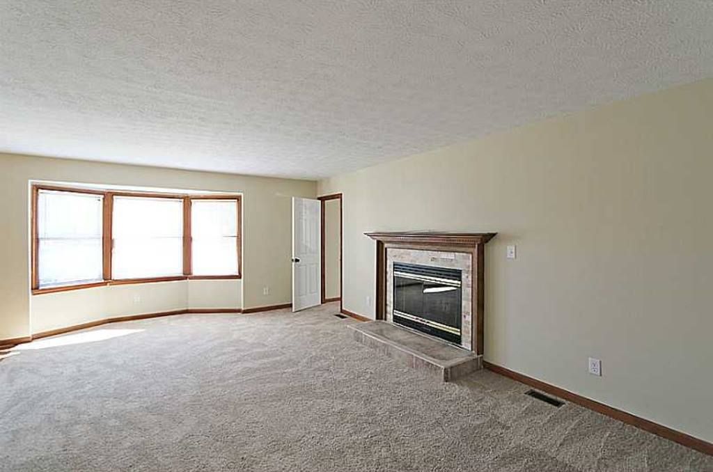 Carpet & Carpentry