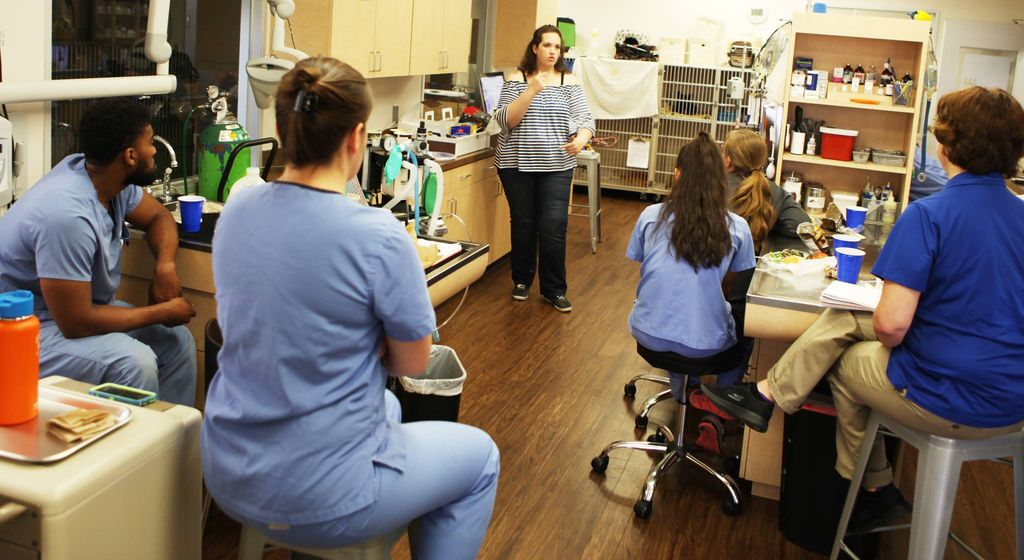 I was asked to do a talk to a local veterinary cli