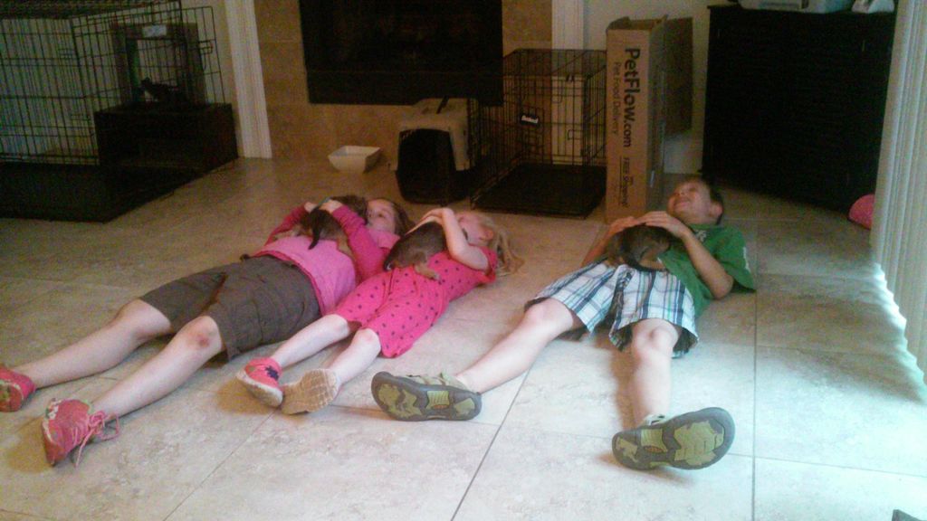 Puppy and Child socialization lol