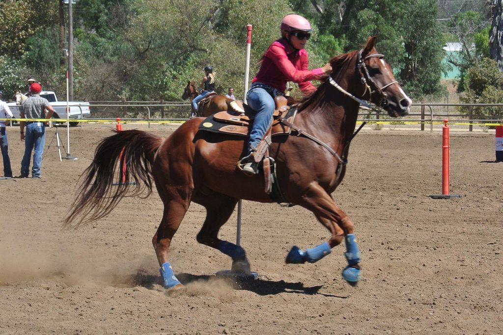 At a gymkhana show