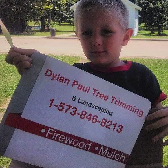 Dylan Paul Tree Trimming & Landscaping