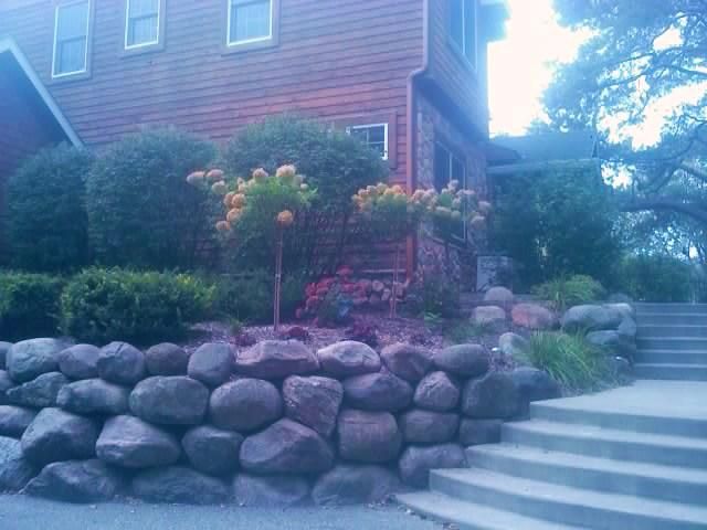 Boulder Hydrangea Tree Landscape