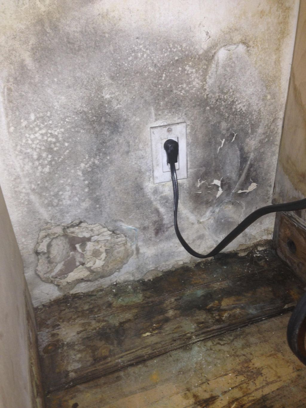 Mold is not always visible. This damage may only b