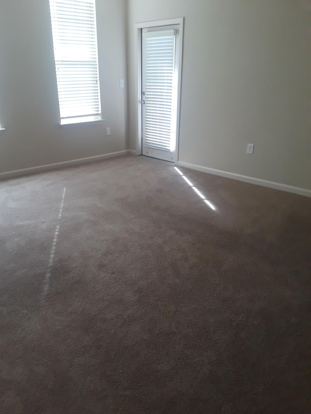 Move Out Carpet Cleaning.....