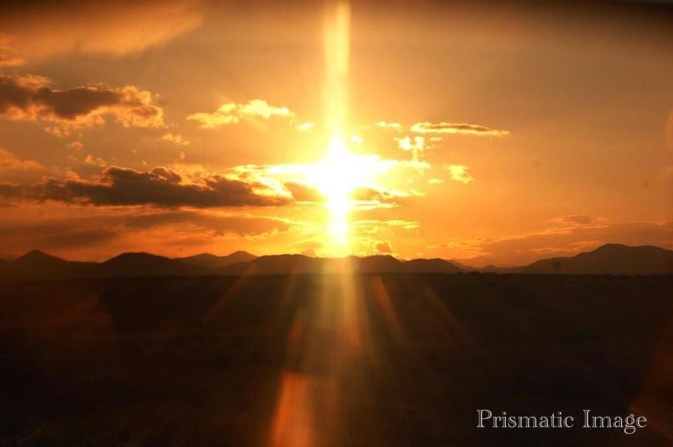 umbtack.com/profile/widgets/scripts/?service_id=iT