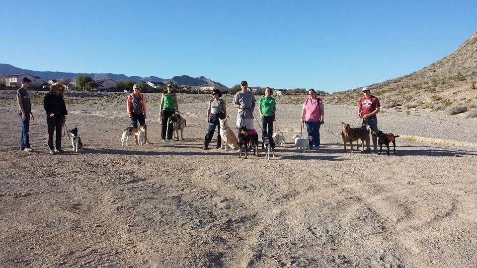 Monthly Community Pack Walk