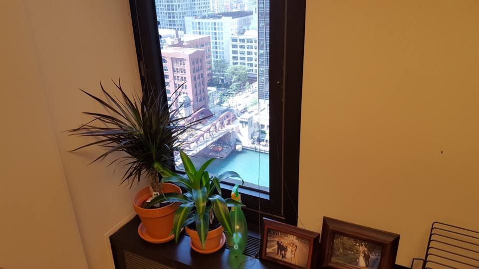 View from one of our partner's offices on Wacker D