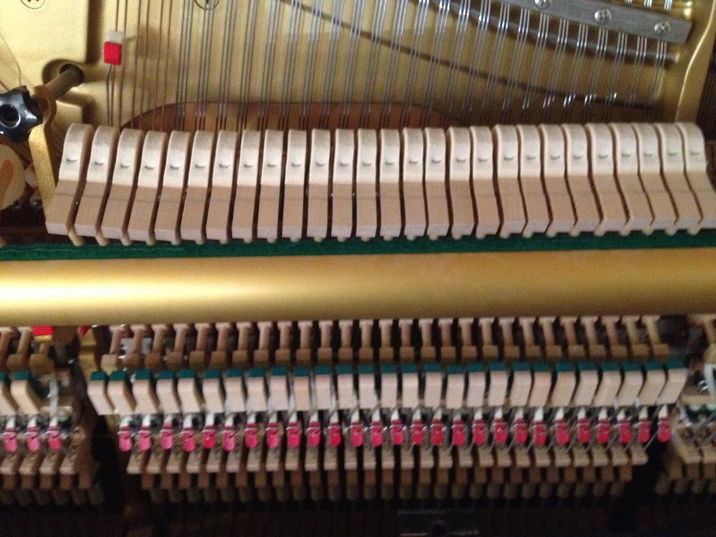 Photograph by Laura Cook ©2015