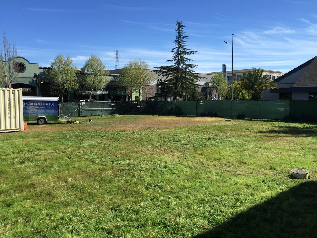 Commercial Weed Abatement