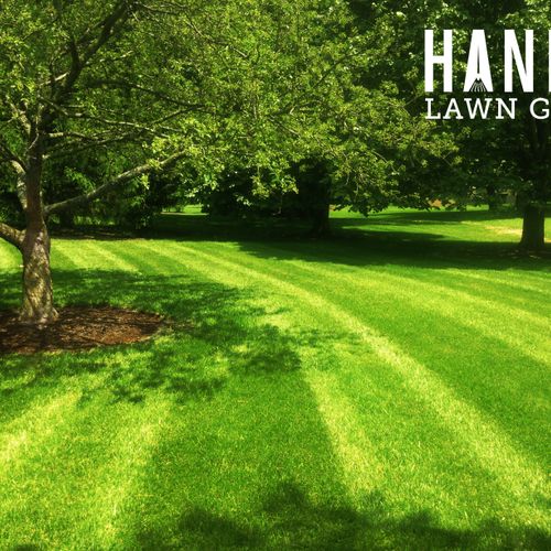 Lawn Mowing & Grounds Maintenance Service
