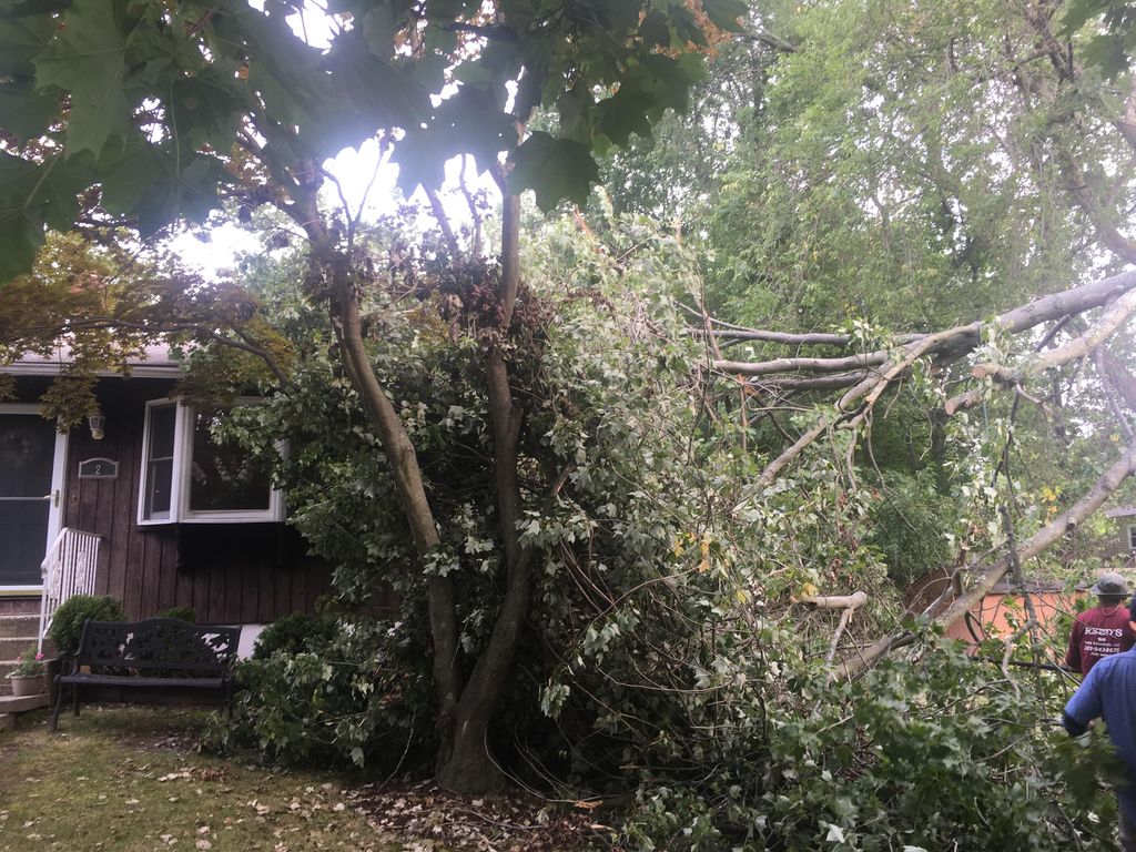 #1 This was a emergency tree removal job.