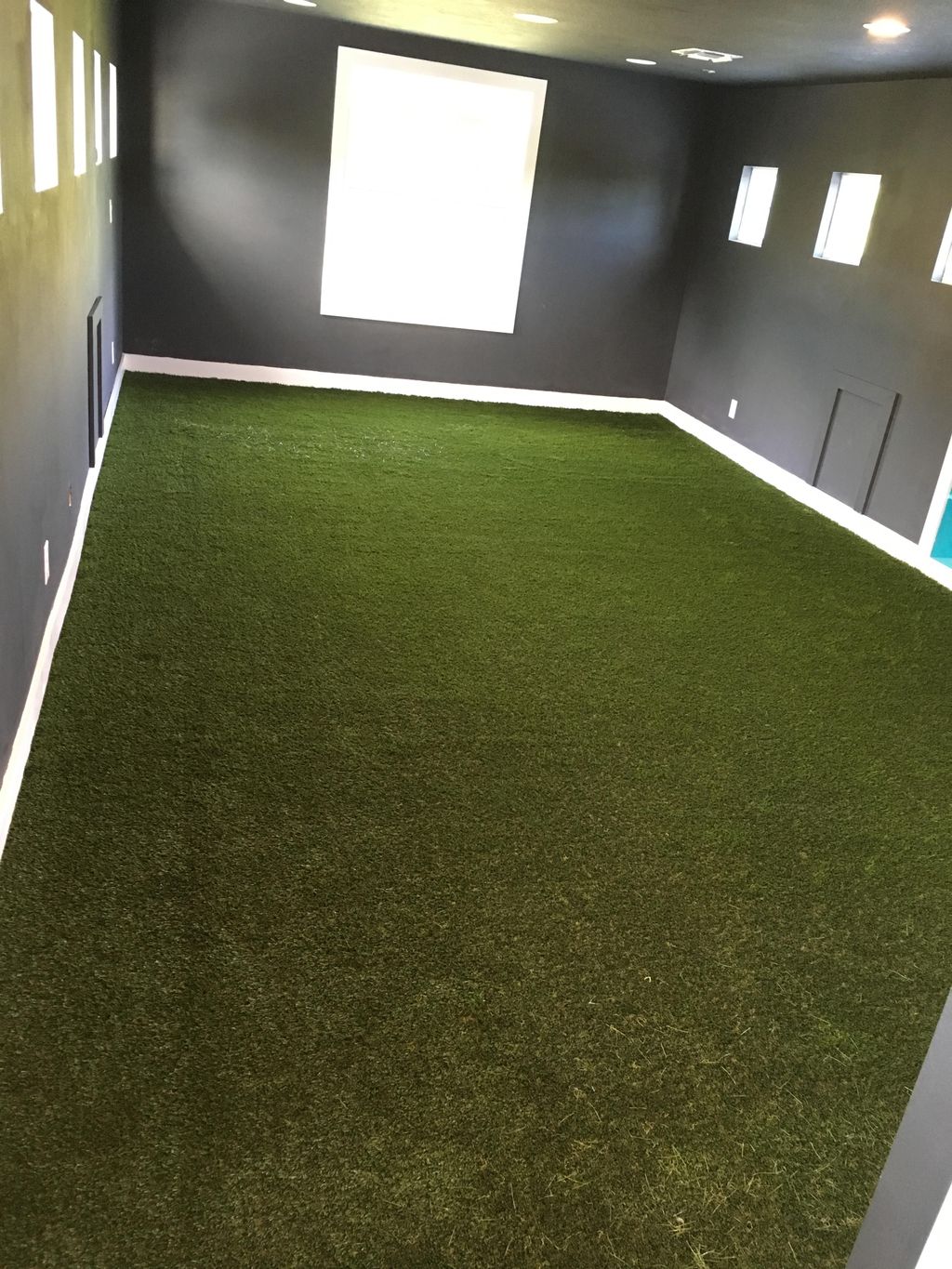 Turf installed inside home