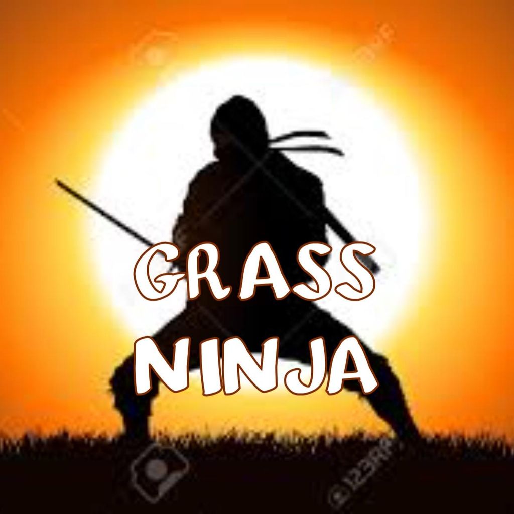 Grass ninja