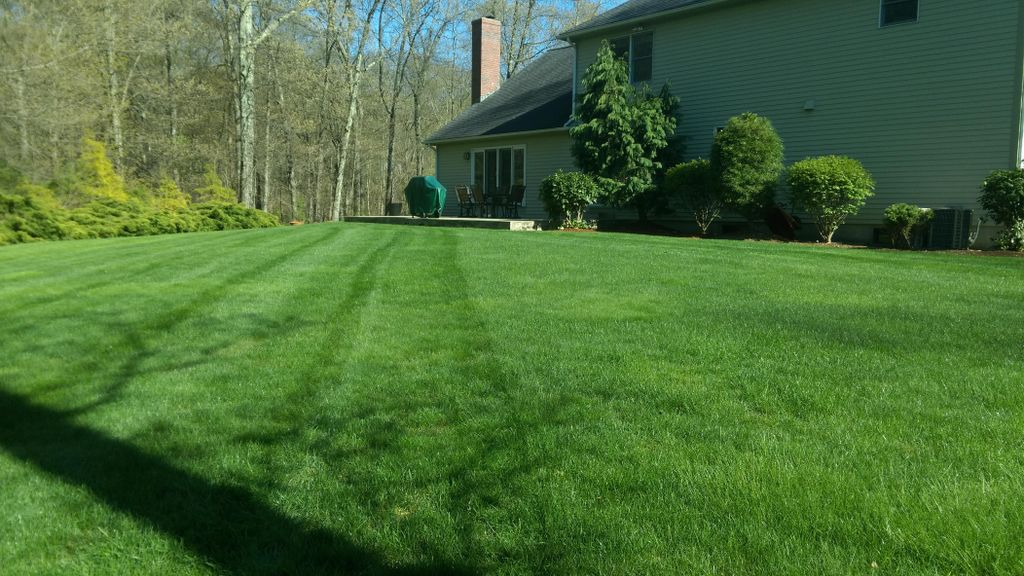 Lawn Maintenance / Fertilization Lincoln