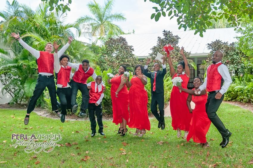 The Wedding Party 
