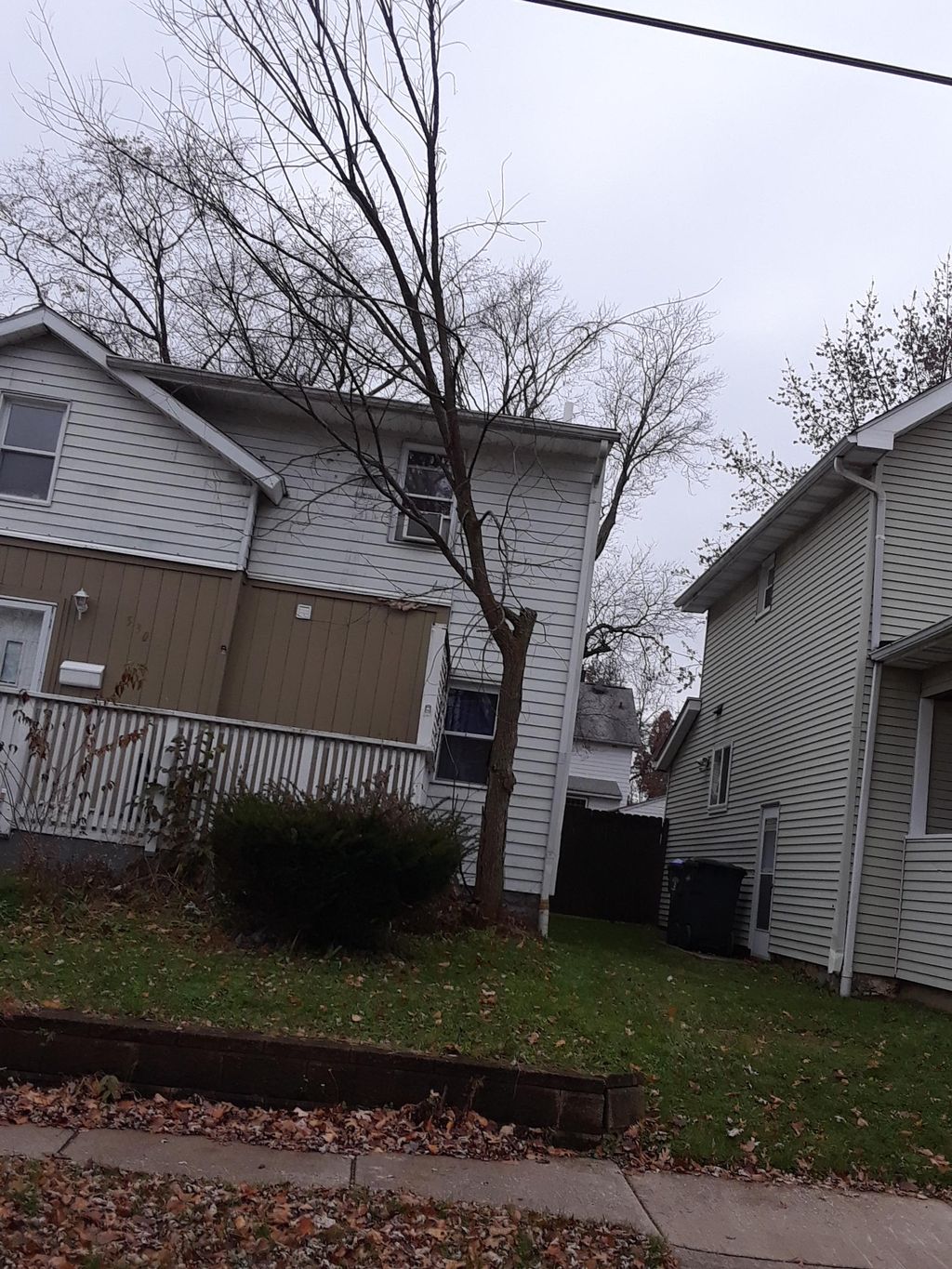 Dead tree removal (Before)