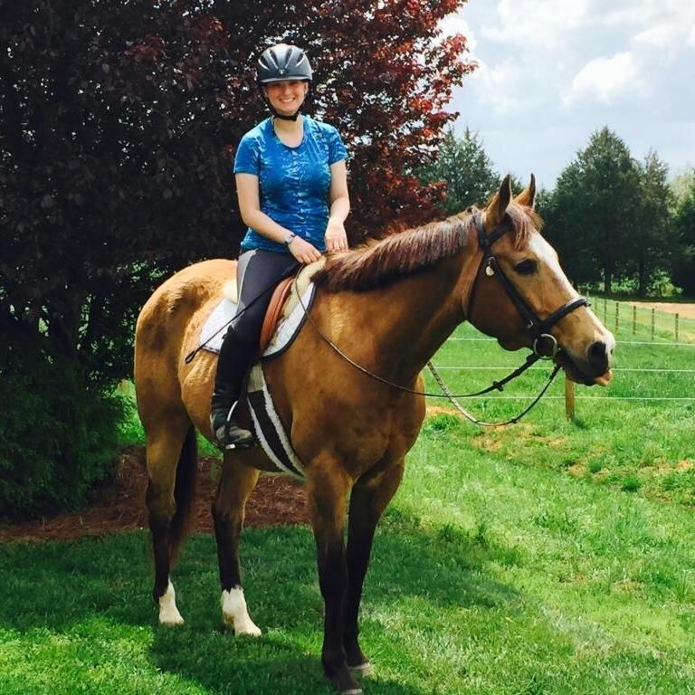 Sarah's Horse & Pet Services and Riding Lessons
