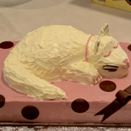 Kitty cake-everything is edible. I carved the cake