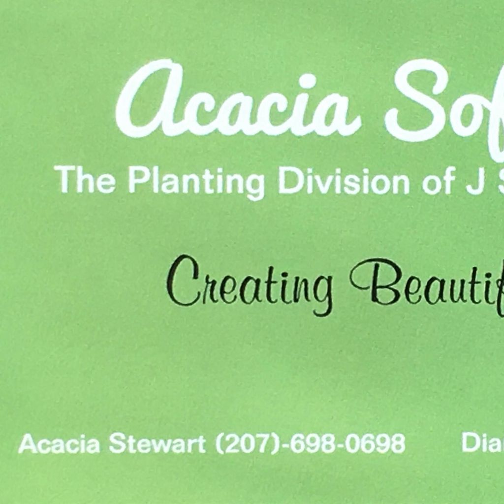 Acacia Softscapes