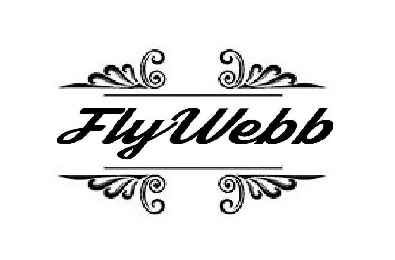 FlyWebb Commercial and Residential Cleaning