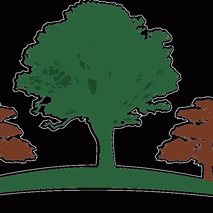 New Era Landscape LLC