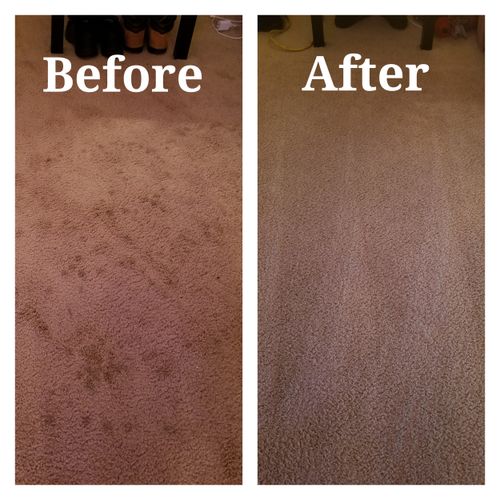 Extraction Method Carpet Deep Clean